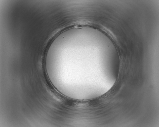 X0000075850155200609291531