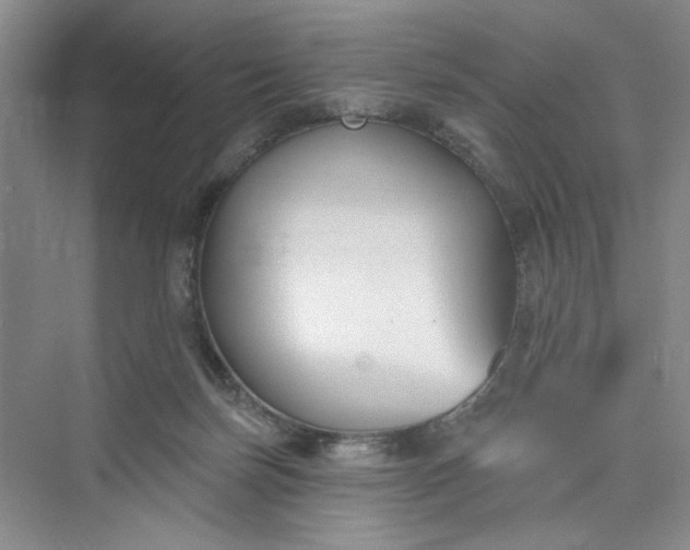 X0000075850171200609291531