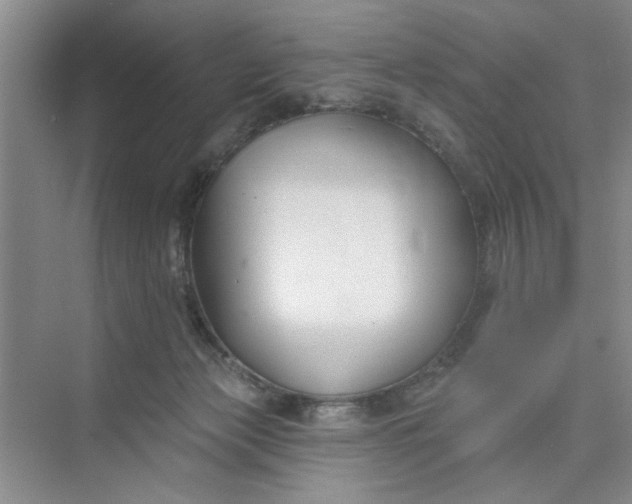 X0000075850173200609291531