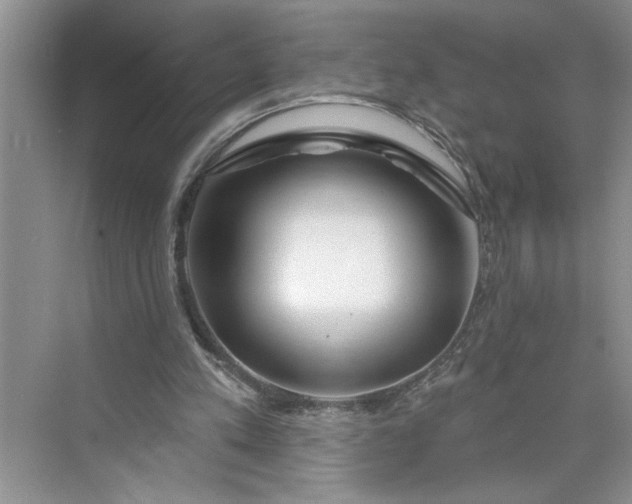 X0000075850197200609291531
