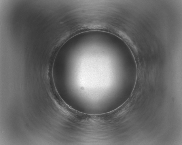 X0000075850201200609291531