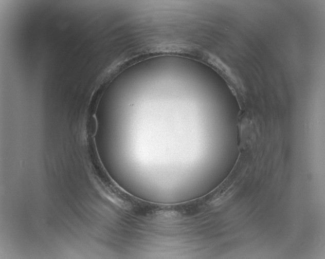 X0000075850203200609291531