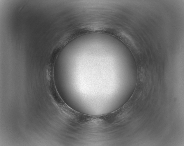 X0000075850210200609291530