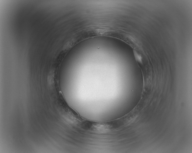 X0000075850221200609291530
