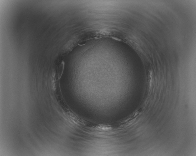 X0000075850223200609291530