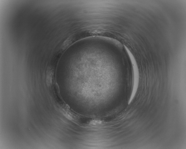 X0000075850227200609291530