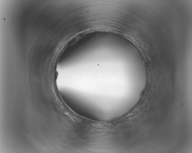 X0000075850241200609291529