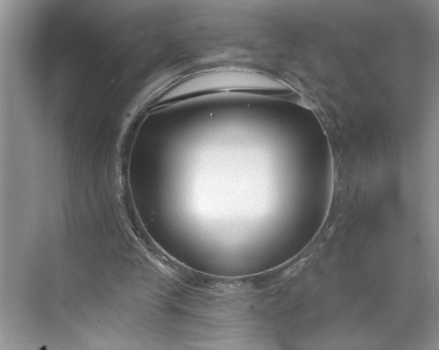 X0000075850245200609291529