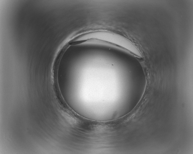 X0000075850246200609291529