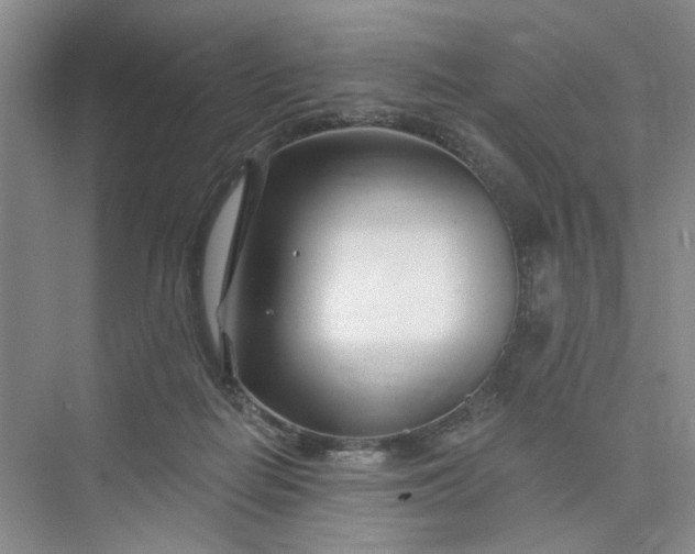 X0000075850266200609291530