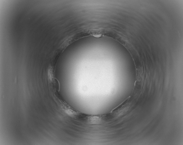 X0000075850287200609291530