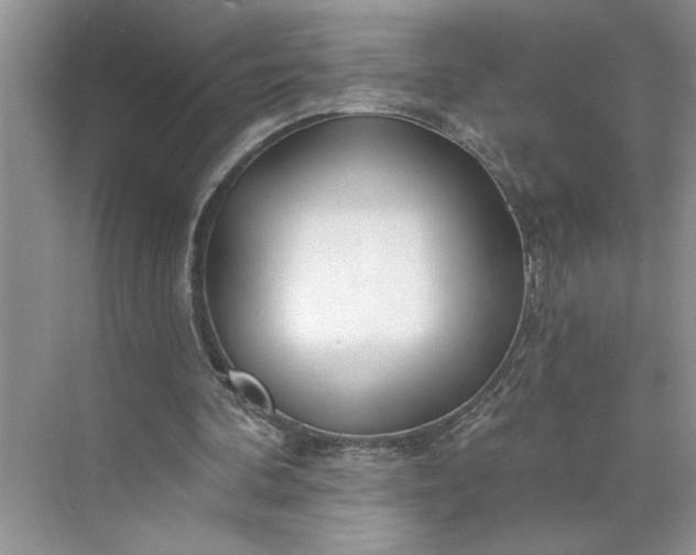 X0000075850292200609291529