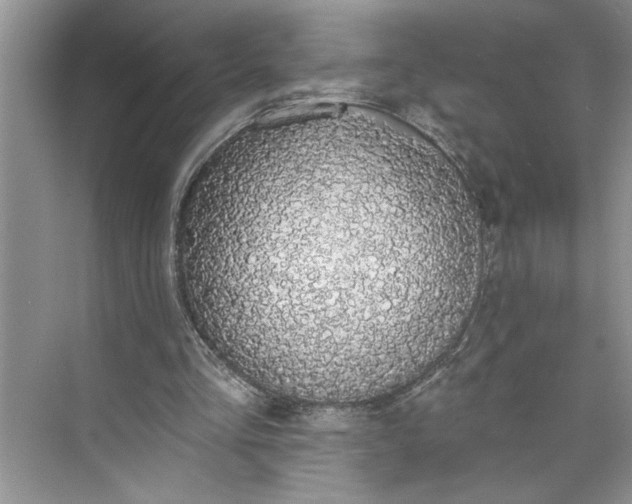 X0000075850293200609291529
