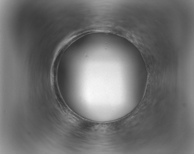 X0000075850294200609291529