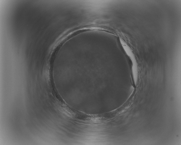 X0000075850295200609291529