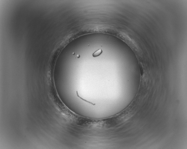 X0000075850306200609291529