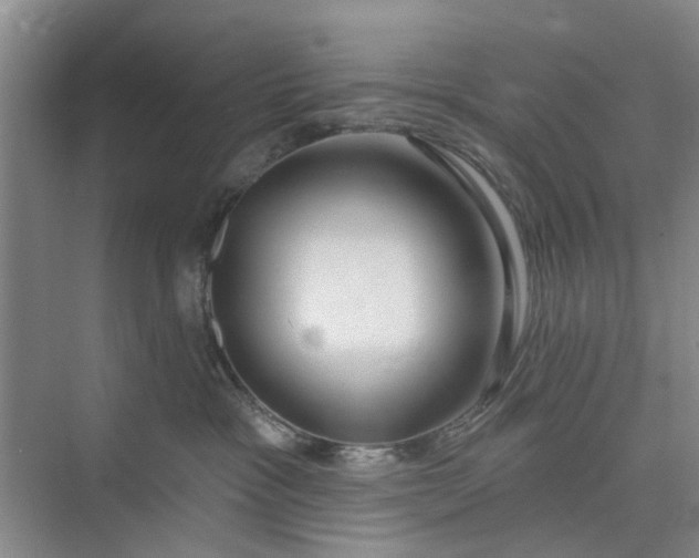 X0000075850333200609291528