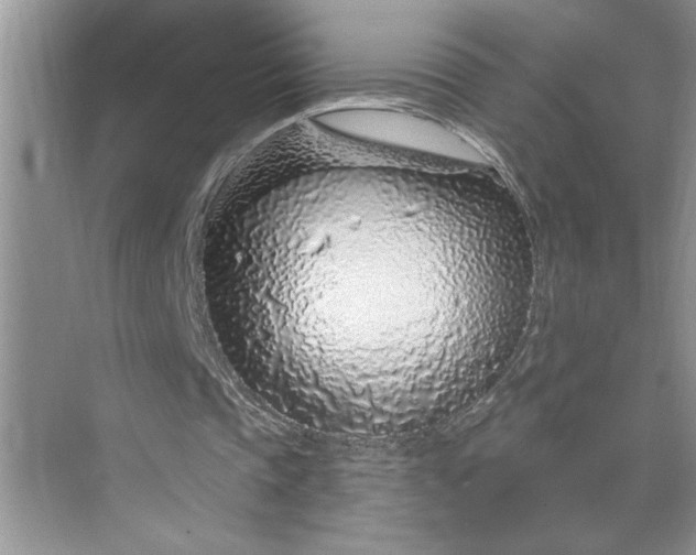 X0000075850337200609291528