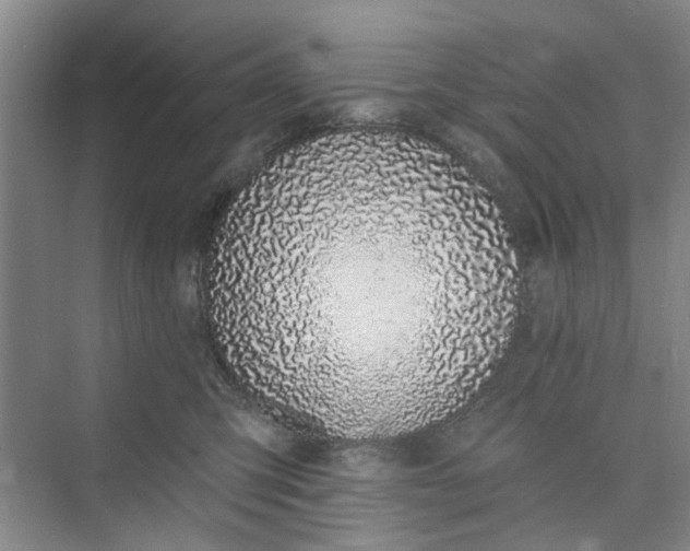 X0000075850423200609291527