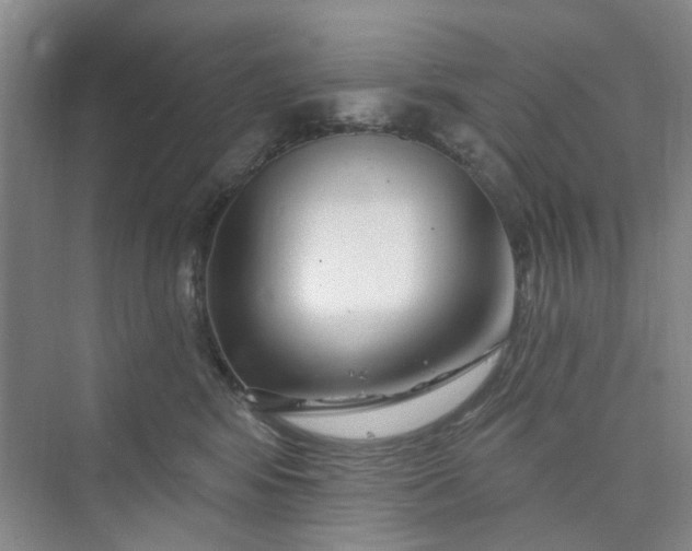 X0000075850424200609291527