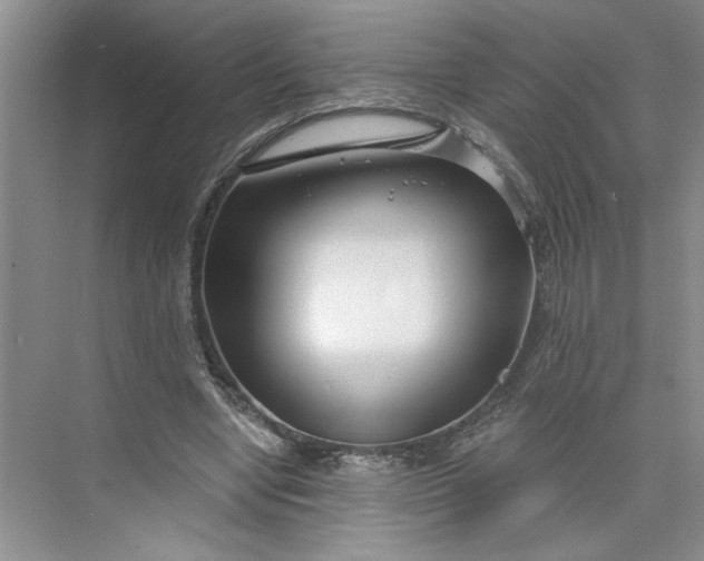 X0000075850442200609291526
