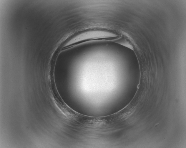 X0000075850443200609291526