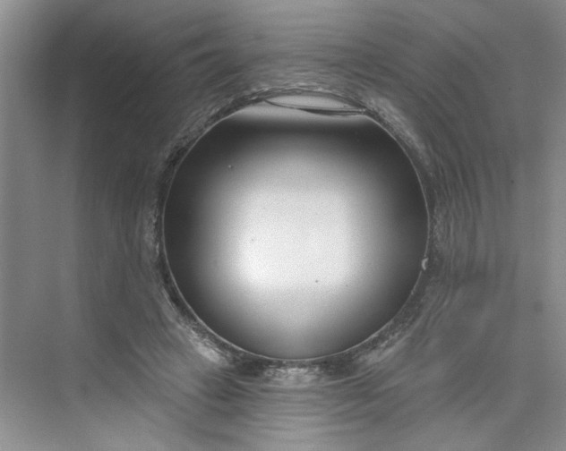 X0000075850449200609291526