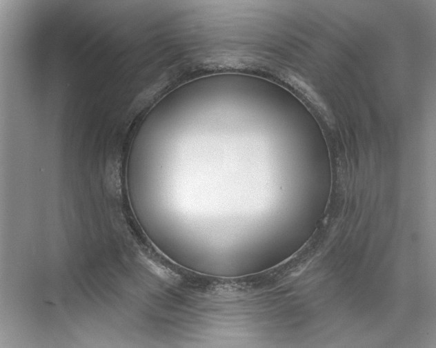 X0000075850489200609291526