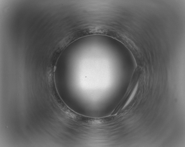 X0000075850513200609291525