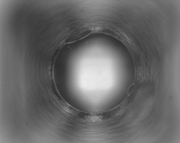X0000075850553200609291525
