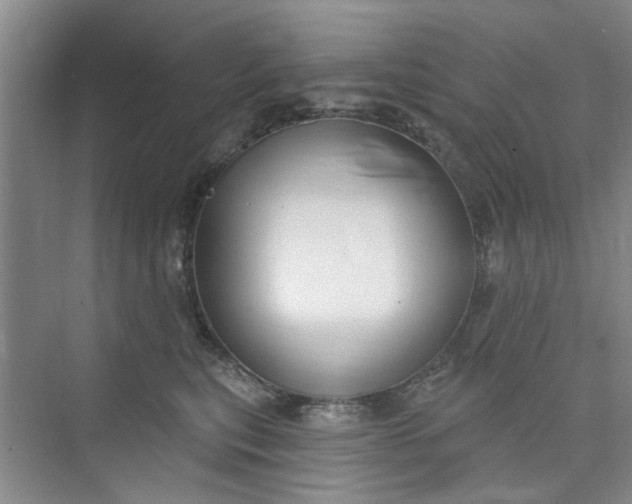 X0000075850567200609291525