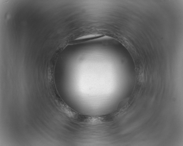 X0000075850569200609291525