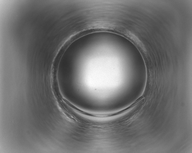 X0000075850580200609291524