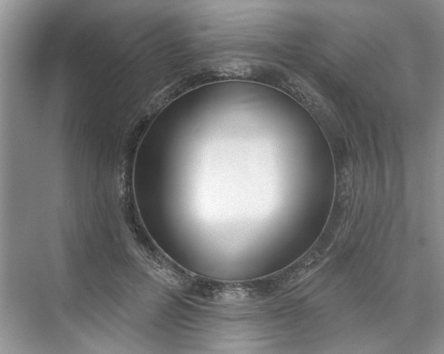 X0000075850600200609291524