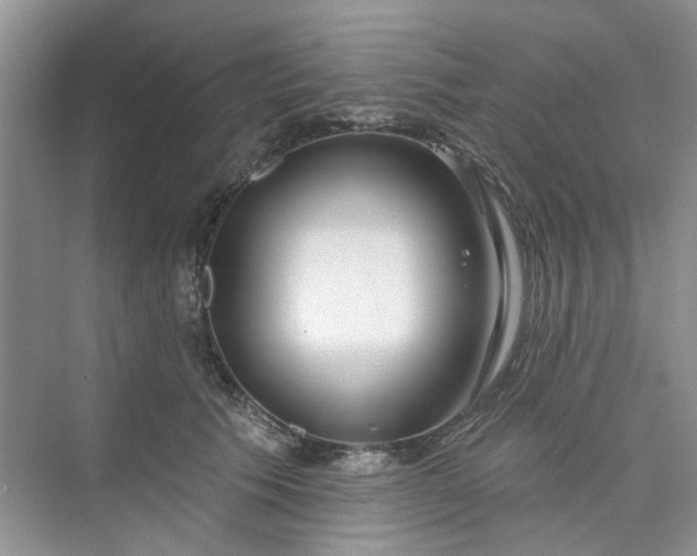 X0000075850609200609291524