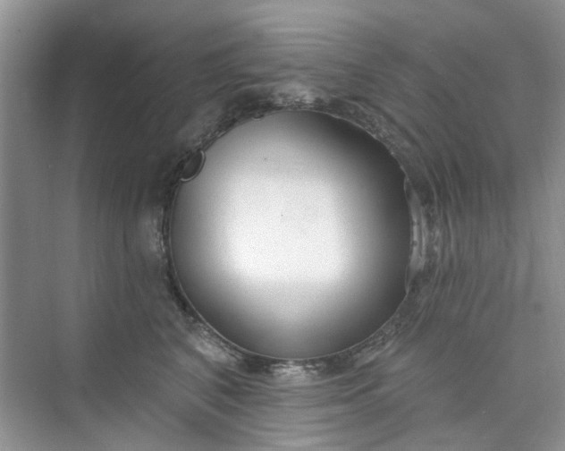 X0000075850616200609291524
