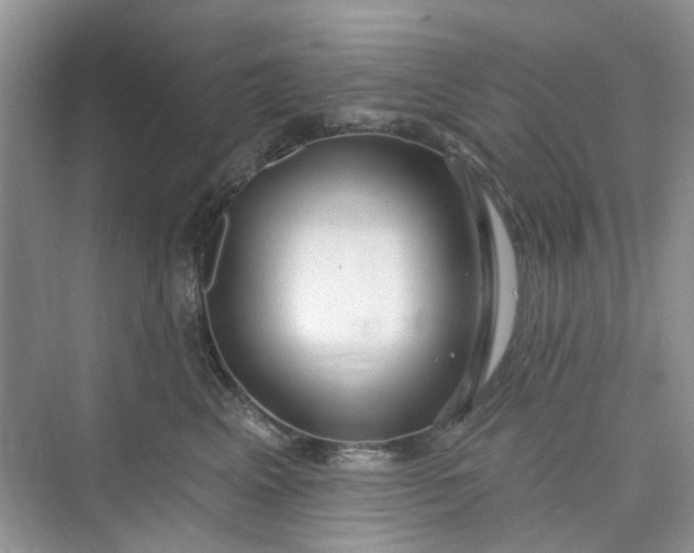 X0000075850617200609291524