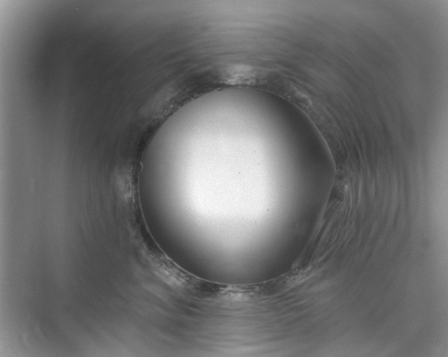 X0000075850620200609291524
