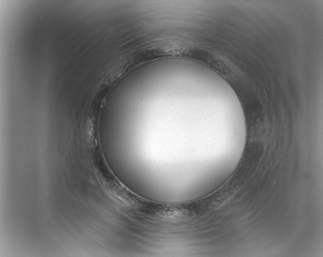 X0000075850646200609291523