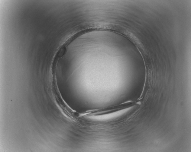 X0000075850674200609291523