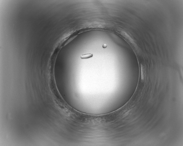 X0000075850675200609291523