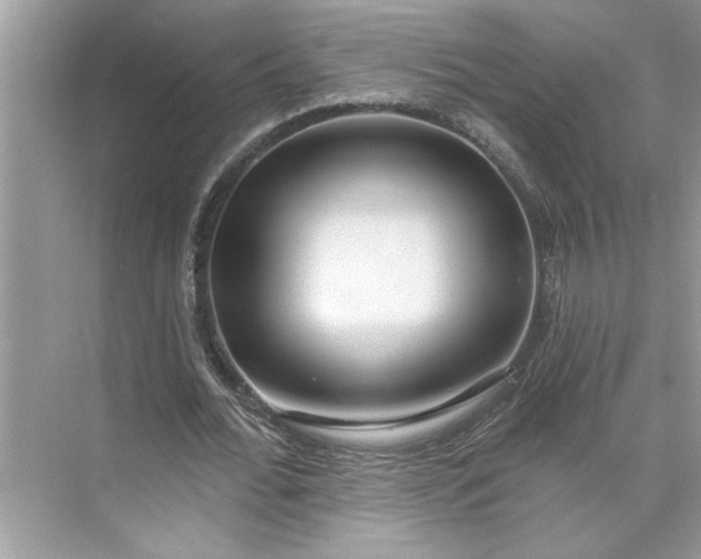 X0000075850676200609291523