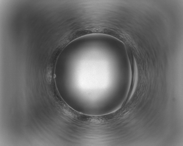 X0000075850697200609291522