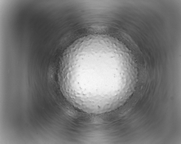 X0000075850701200609291522