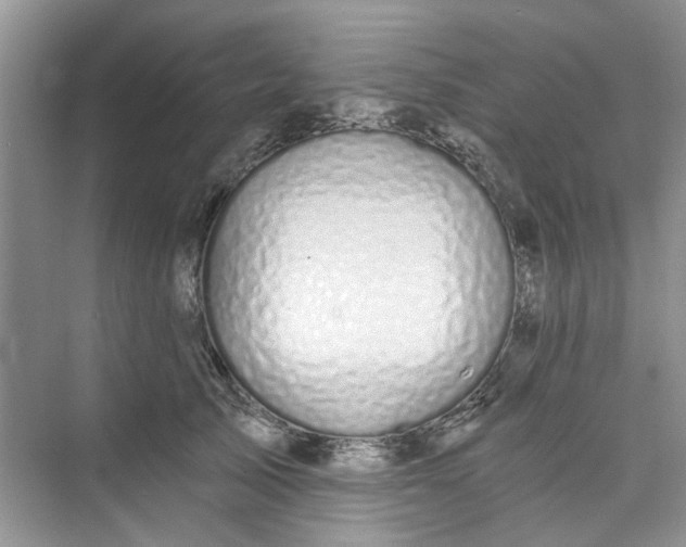 X0000075850705200609291522