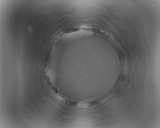 X0000075850762200609291522