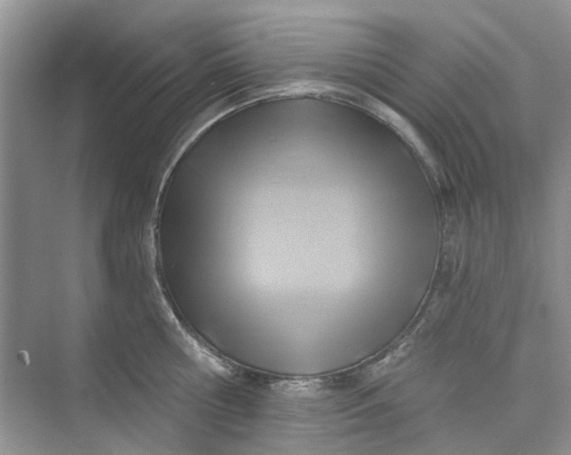 X0000075850810200609291520