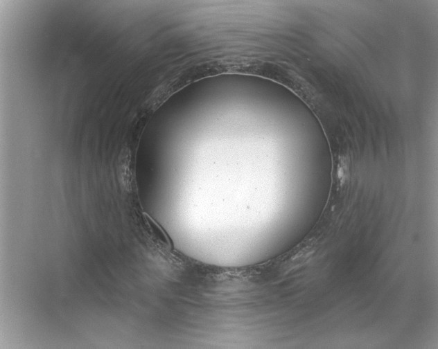 X0000075850867200609291519