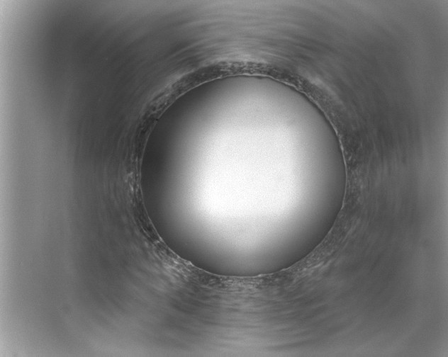 X0000075850870200609291519