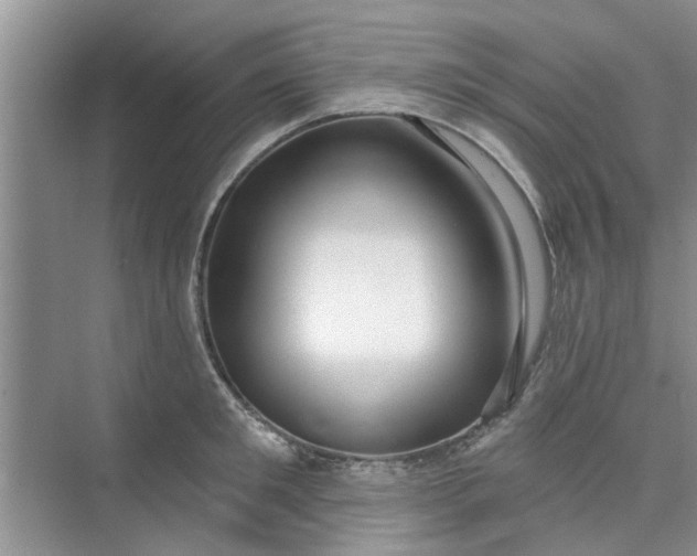 X0000075850901200609291519